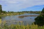 PICTURES/Bend Area Hikes - Bend Oregon/t_P1210408.JPG